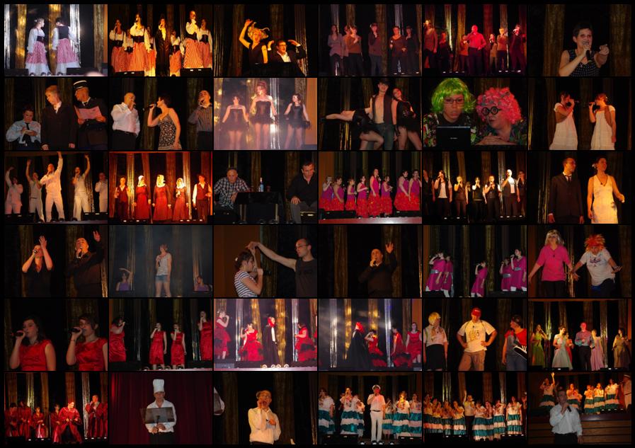 Mosaïque spectacle 2012 new jpeg